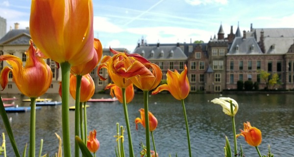 SDN NFV Hague Conference / Binnenhof with tulips