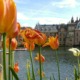 SDN NFV Hague Conference / Binnenhof with tulips