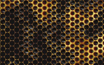 Integrate VPP & Honeycomb & Extension of VPP Services