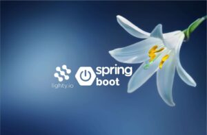 spring.io & lighty.io integration