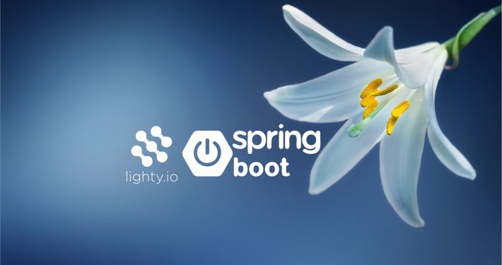 spring.io & lighty.io integration