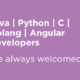 java-python-c-developers-pantheon.tech