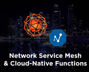 Network Service Mesh & CNF's by PANTHEON.tech