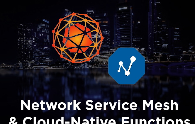 Network Service Mesh & CNF's by PANTHEON.tech