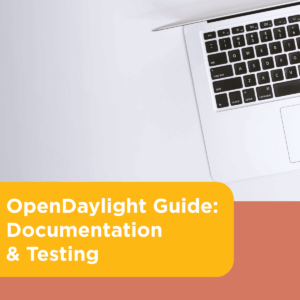 Ultimate OpenDaylight Guide Part 1: Documentation & Testing