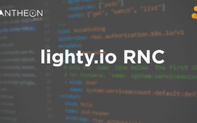 Manage Network Elements in SDN | lighty.io RNC