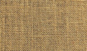 What is Network Fabric?