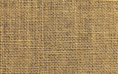 [What Is] Network Fabric: Automation & Monitoring