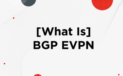 [What Is] BGP EVPN?