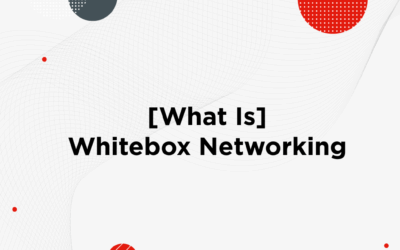 [What Is] Whitebox Networking?