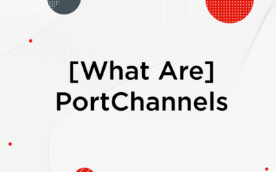 [What Are] PortChannels